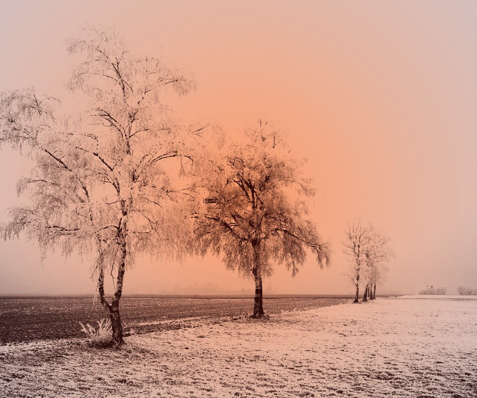 Первый снег обои