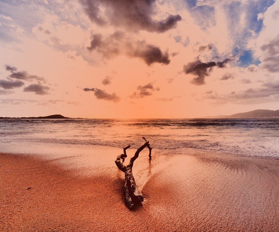 Коряга на пляже обои