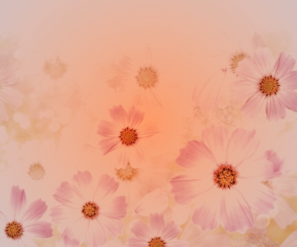 Цветочки обои