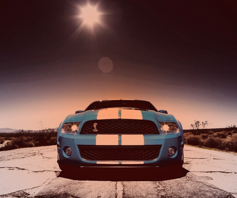 Форд Шелби обои