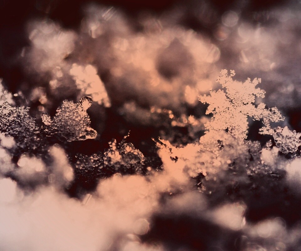 Макро фото снега обои