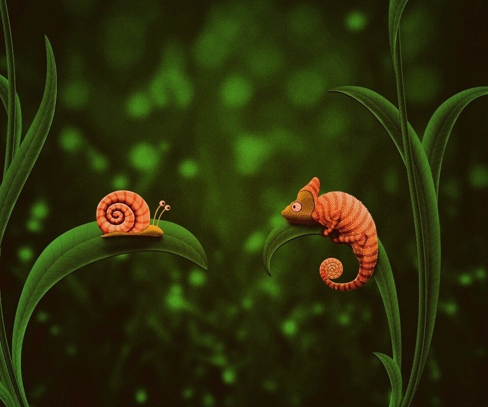 Хамелеон замаскированный под улитку обои