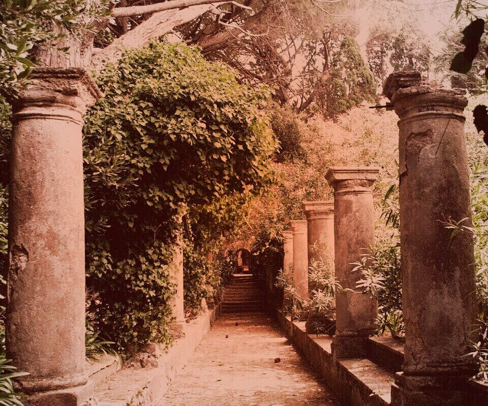 Галерея зимнего сада обои