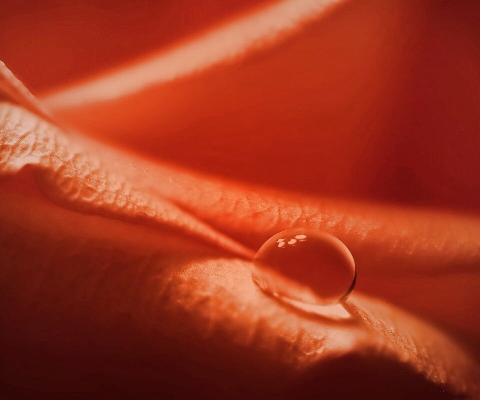 Капелька обои