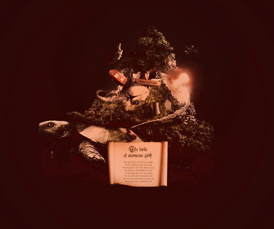 Огромная в обхвате черепаха обои