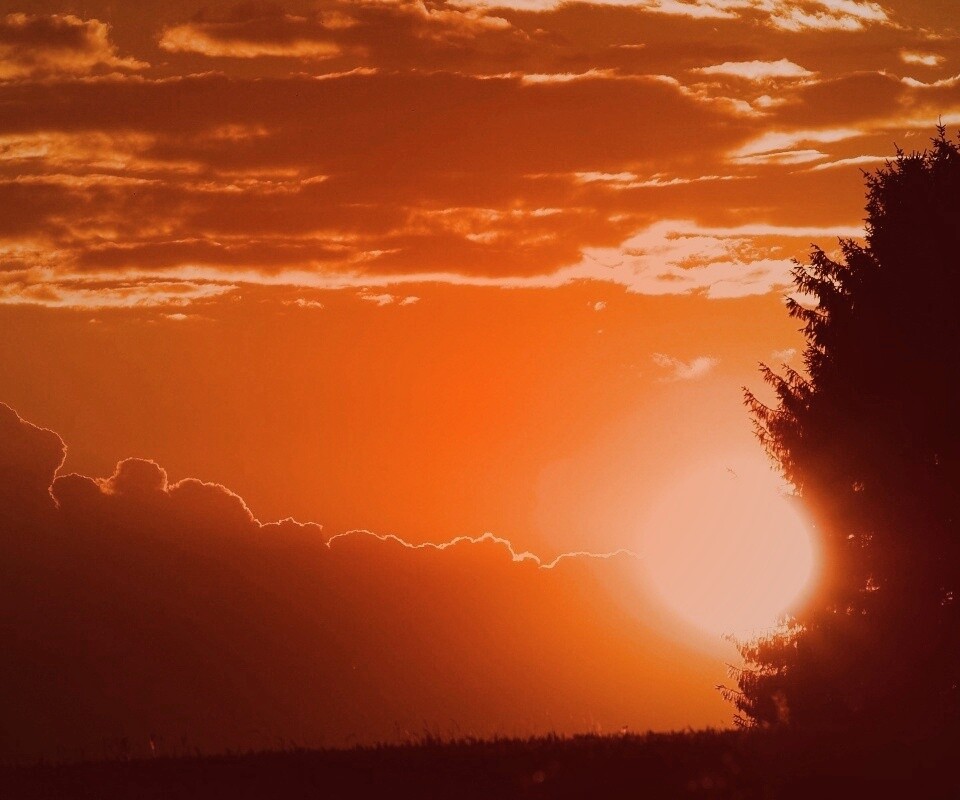 Теплый закат над полем обои