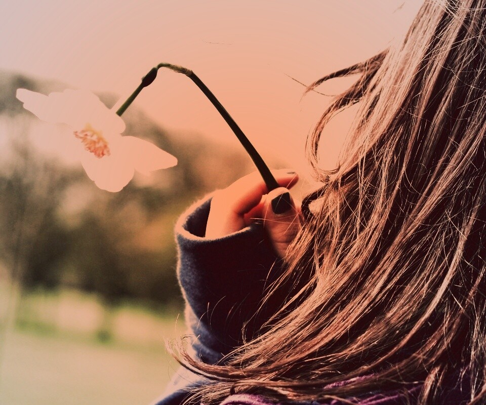 Девушка с нарциссом в руке обои