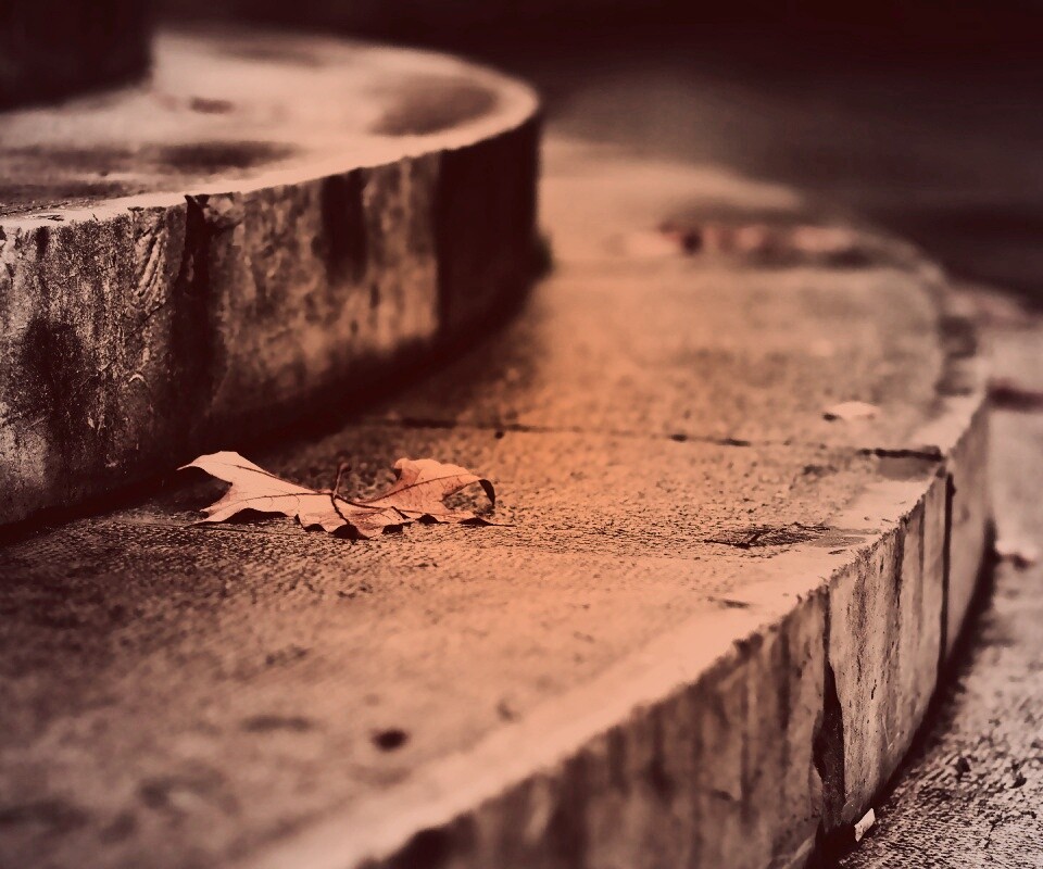 Лист на ступеньках обои