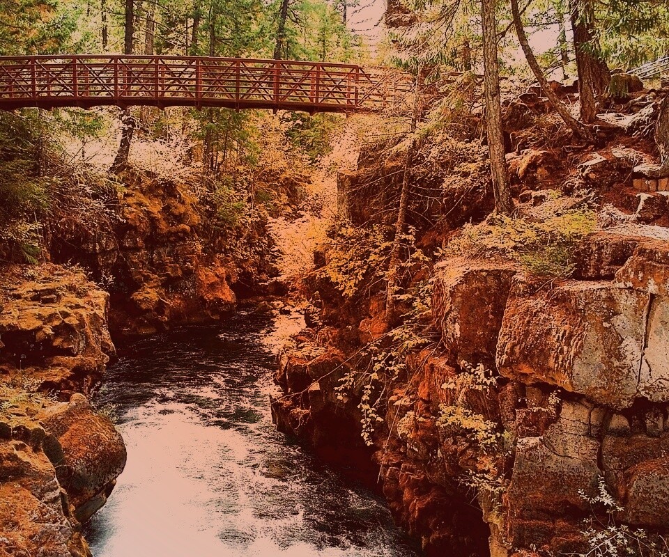 Мостик через реку в лесу обои