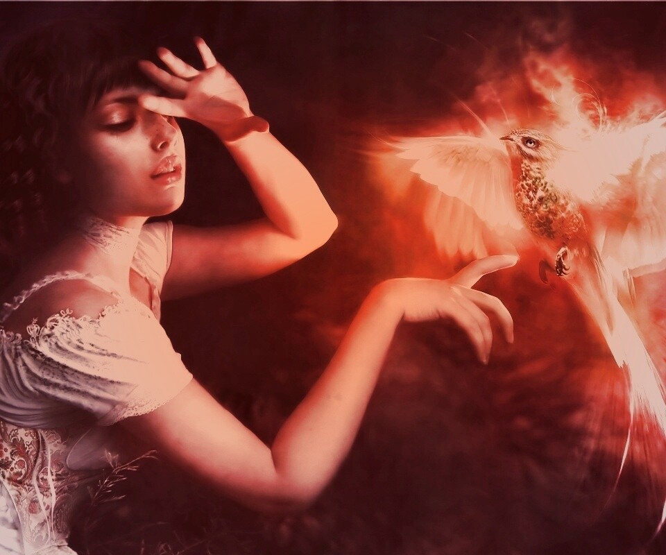 Феникс обои