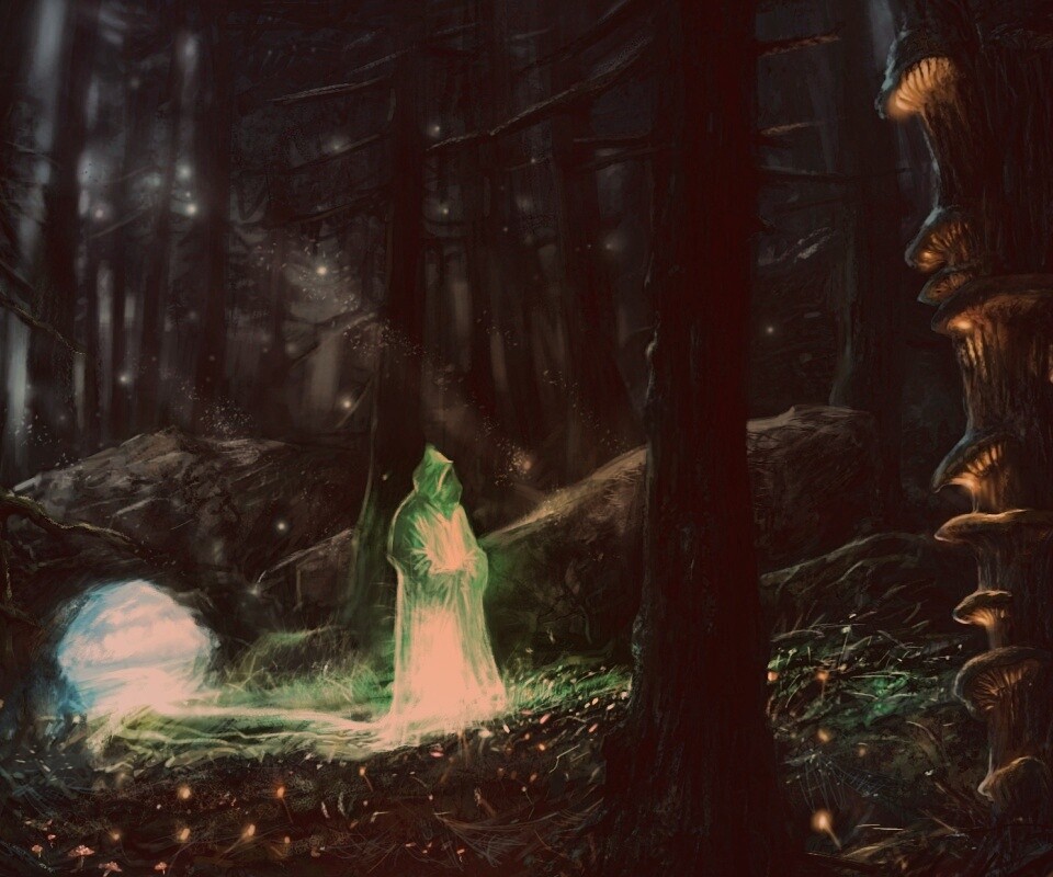 Маг света в лесу обои