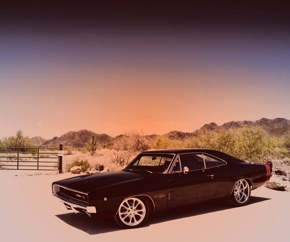 Мускулкар под палящим солнцем обои