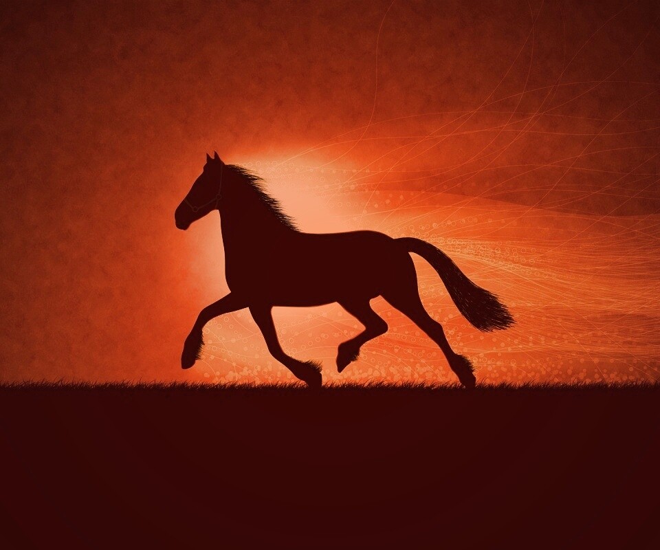 Силует коня на закате обои