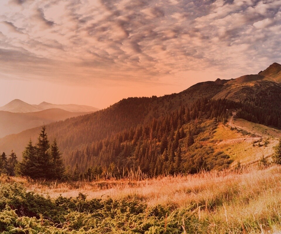 Предгорье обои