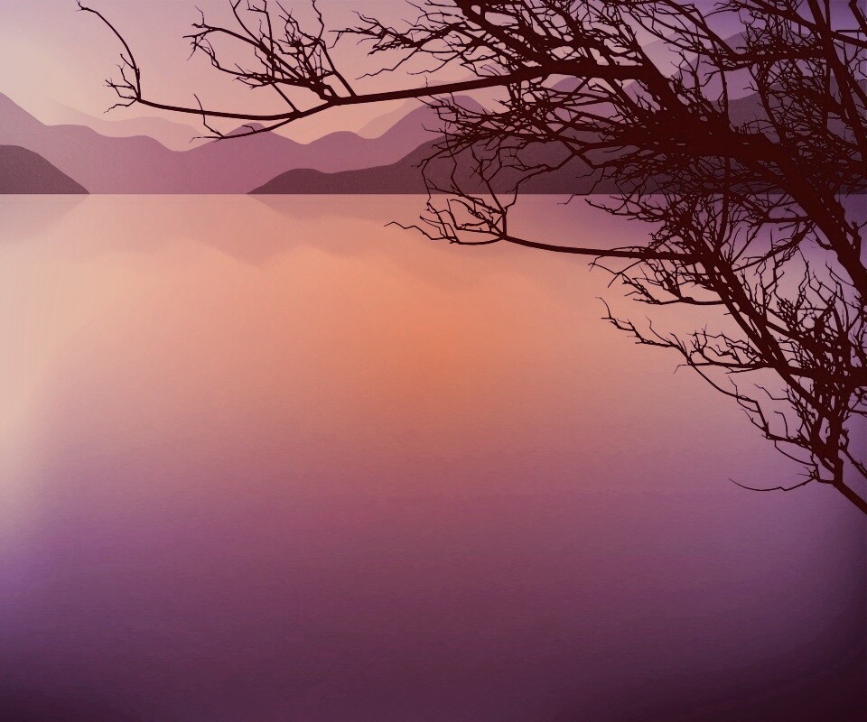 Ветка над вечерним озером обои