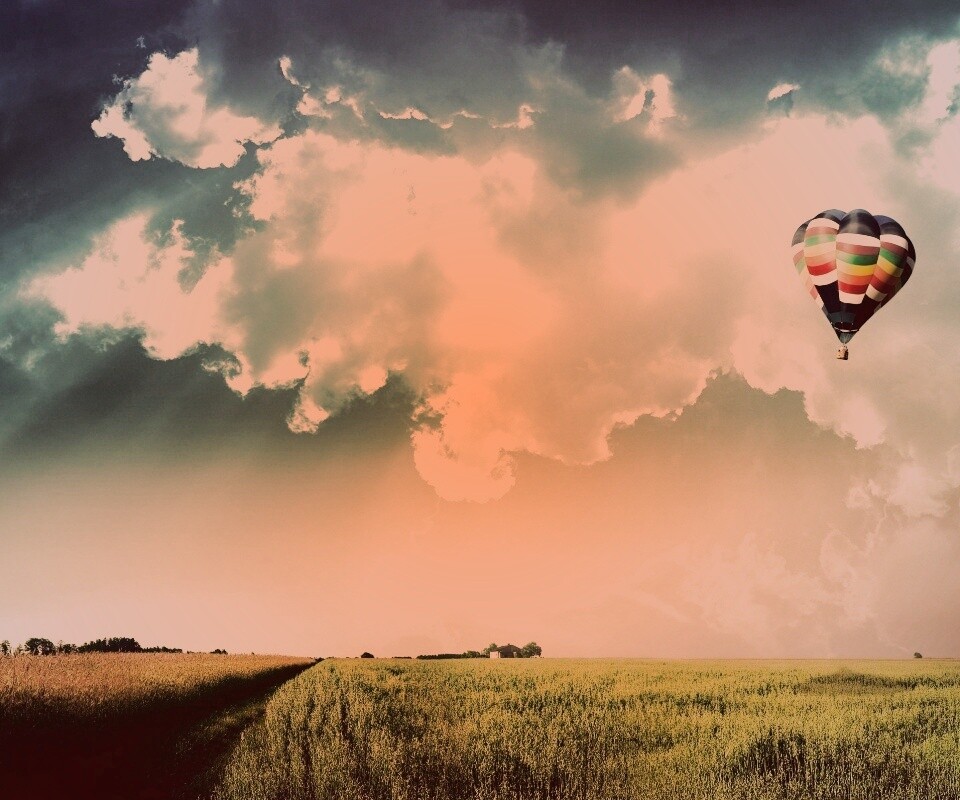 Воздушный шар над зеленым лугом обои