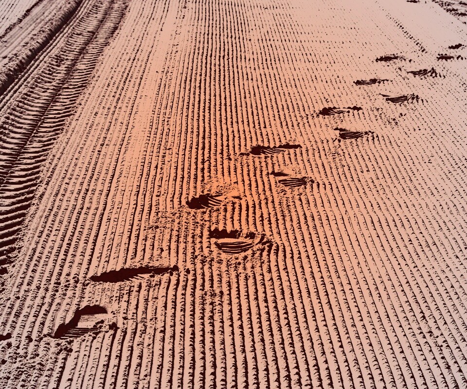Следы на песке обои
