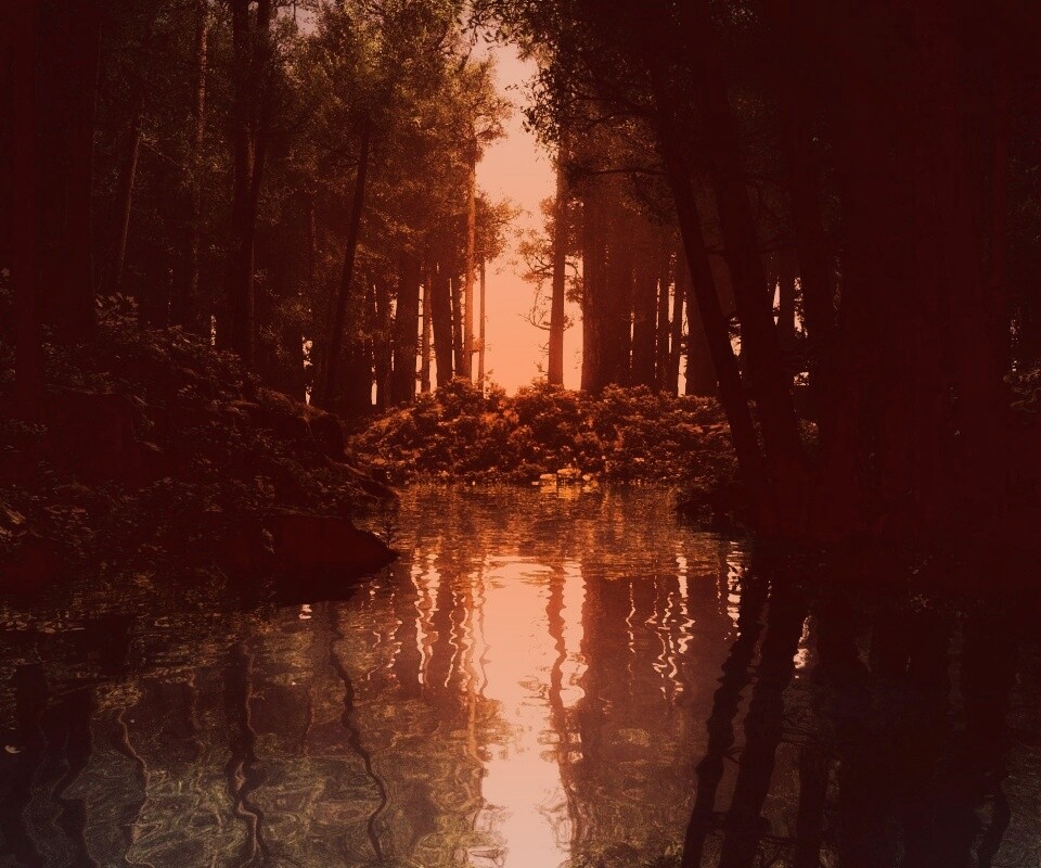 Болото в лесу обои