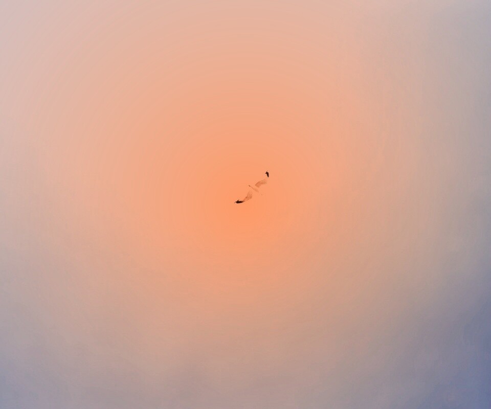 Полет  обои