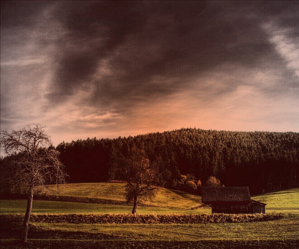 Домик в поле обои