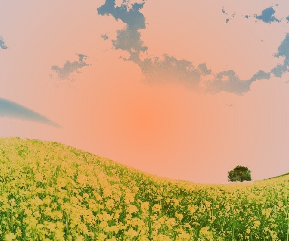 Искаженный мир обои