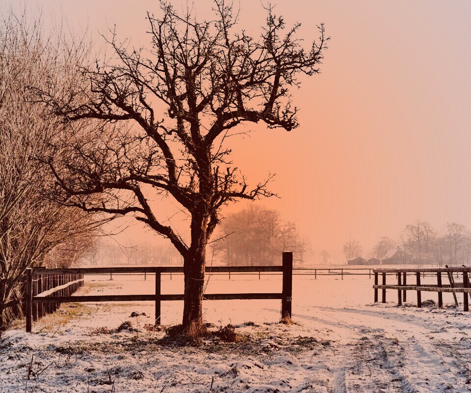 Зимний пейзаж обои