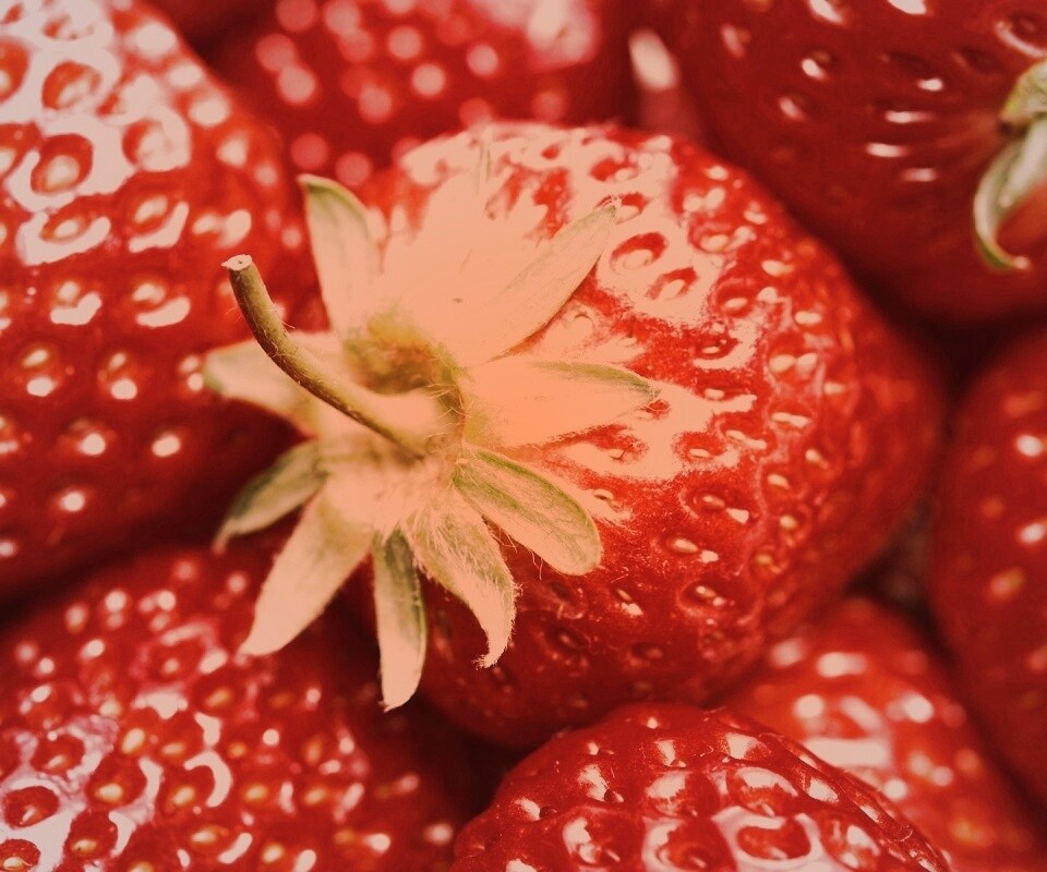 Сочная клубничка обои