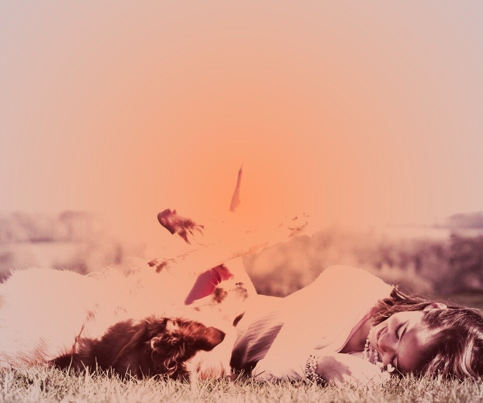 Девушка и собака валяются на траве обои