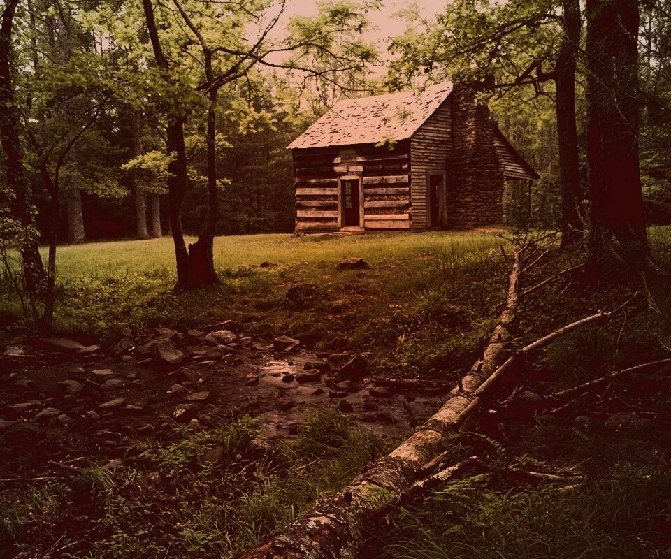 Домик в лесу обои