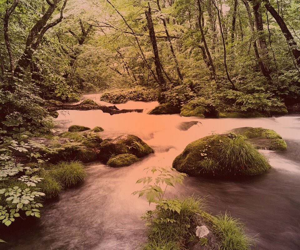 Лесная река обои