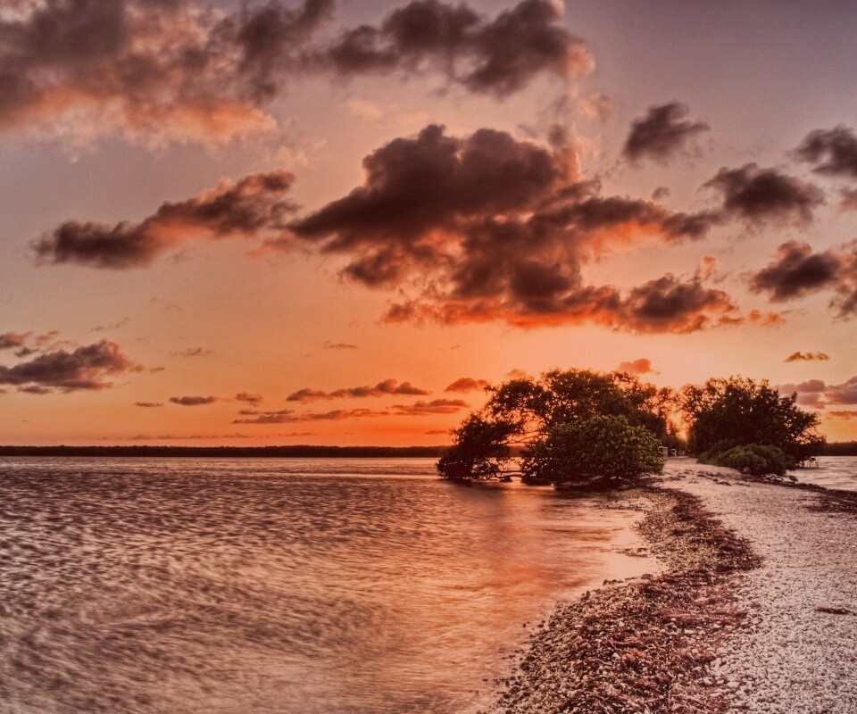 Побережье на закате обои