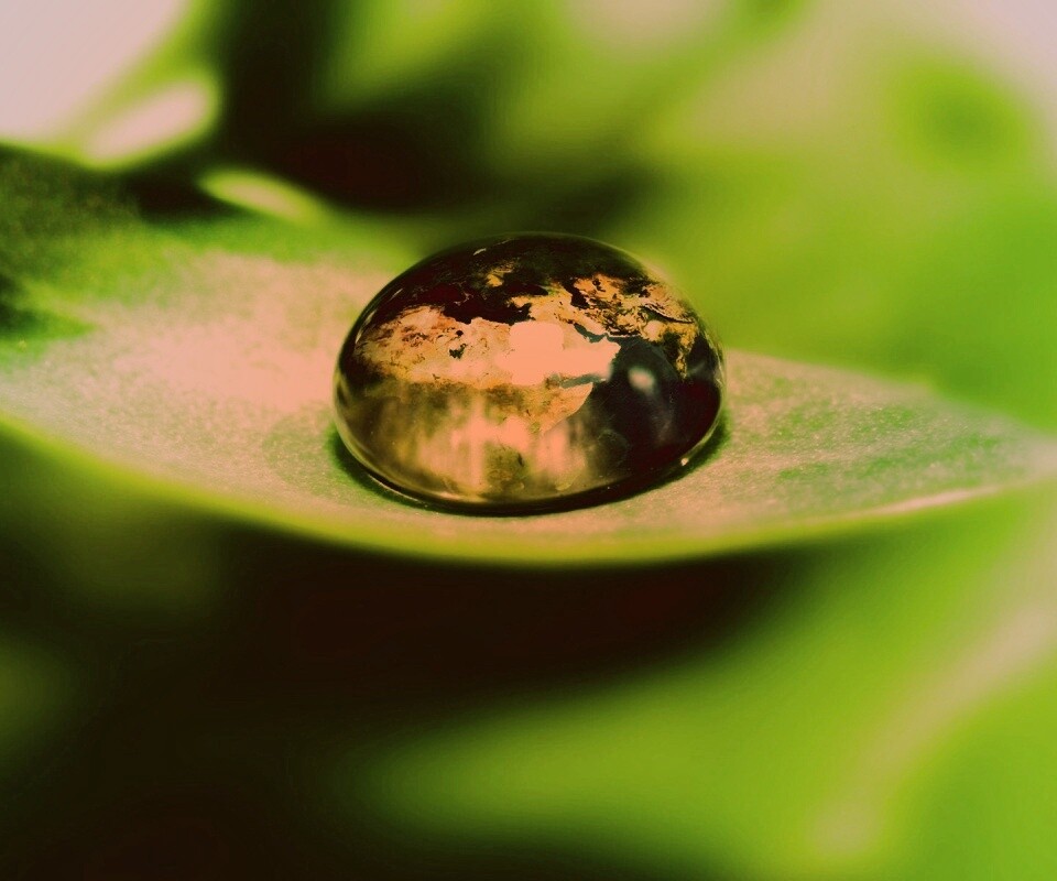 Целый мир в капле воды обои