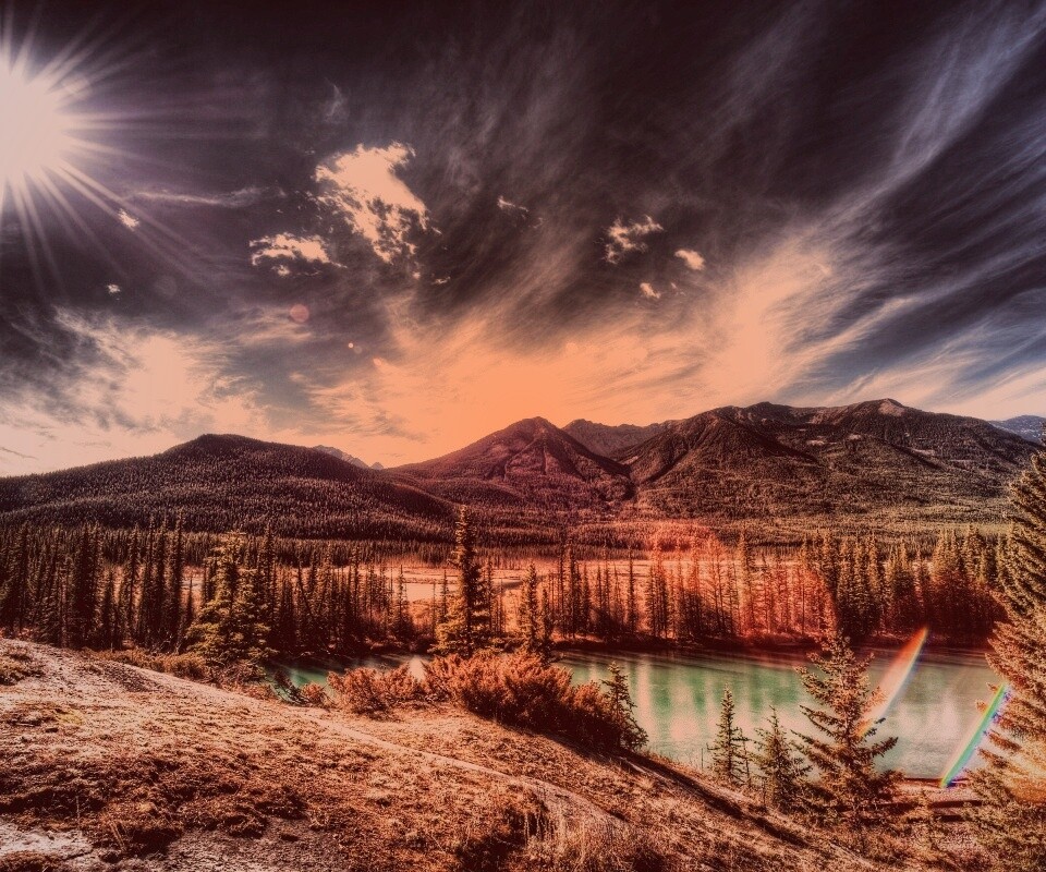 Болотистая местность обои