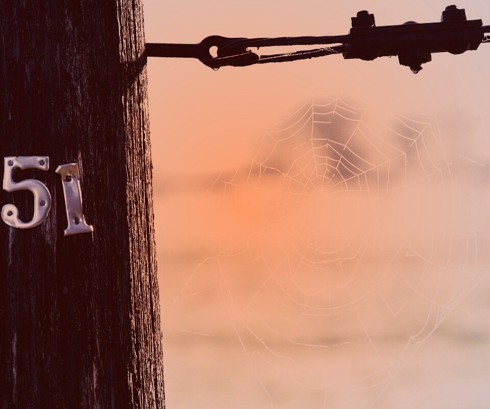 Паутина 51 обои