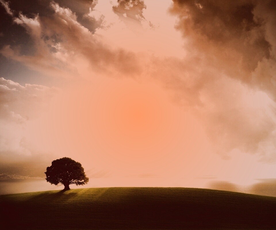 Холм и дерево обои