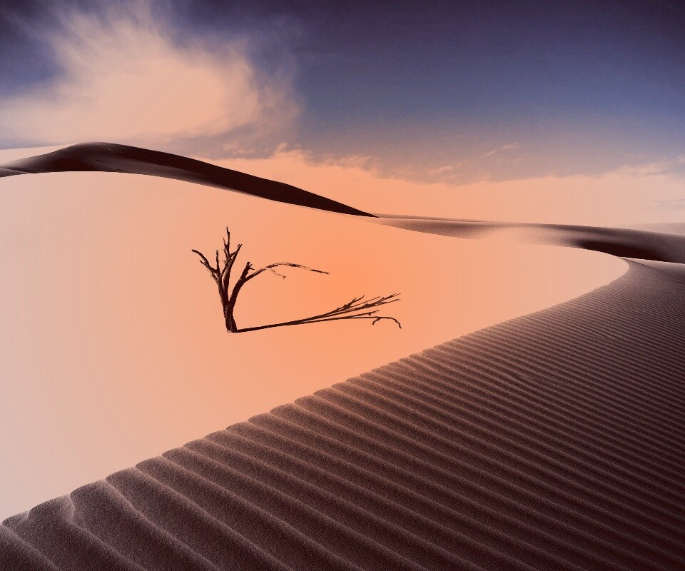 Дюны белого песка обои