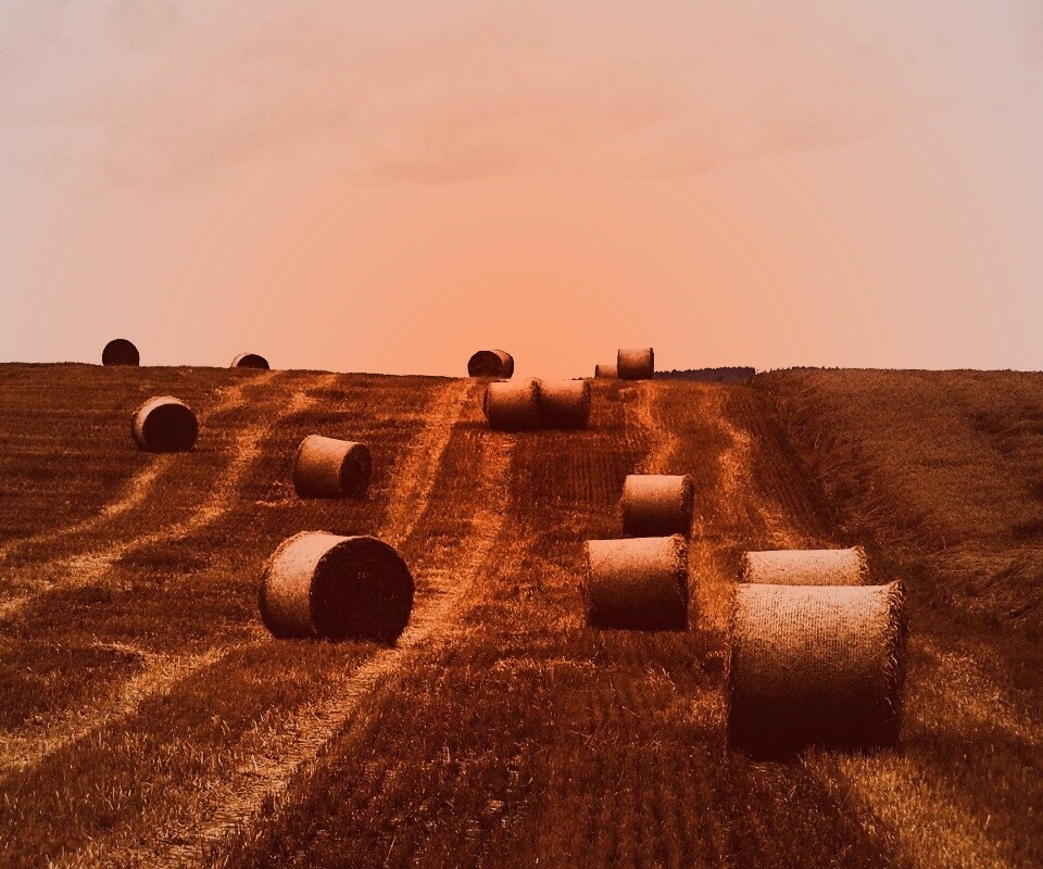 Уборка сена с поля обои