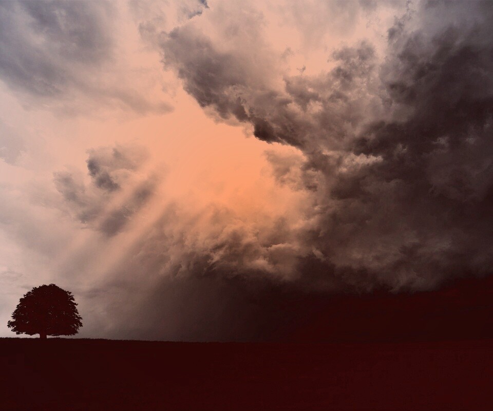 Избранный обои