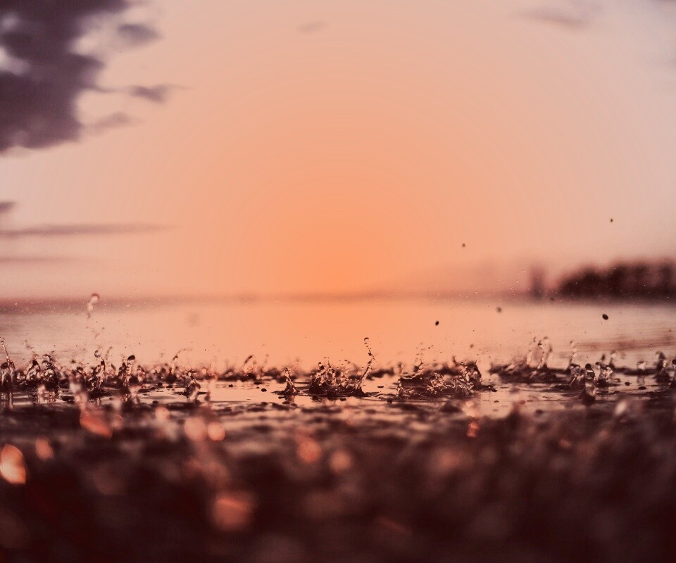 Дождь в макро обои