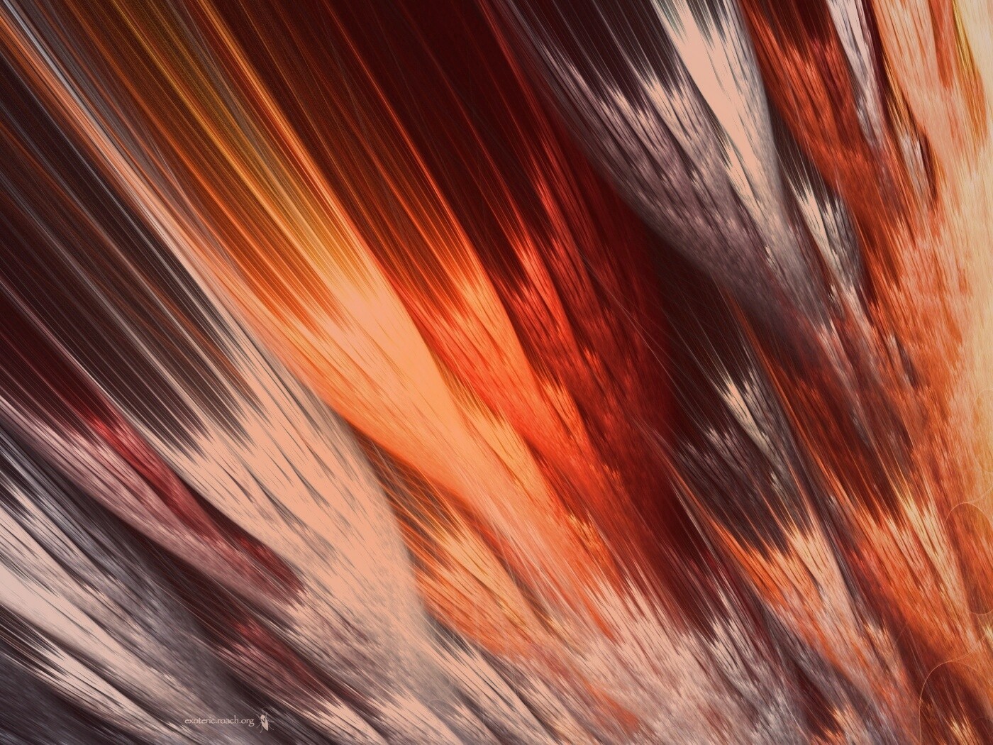 Радужные цвета обои