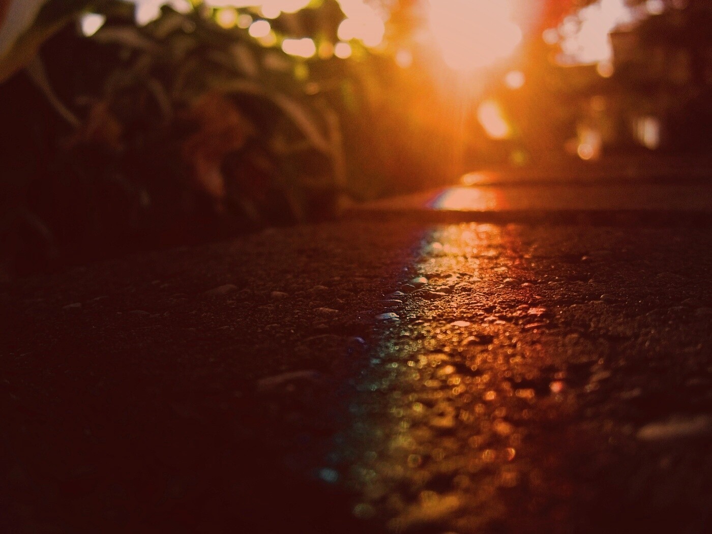 Макро радуга на камне обои