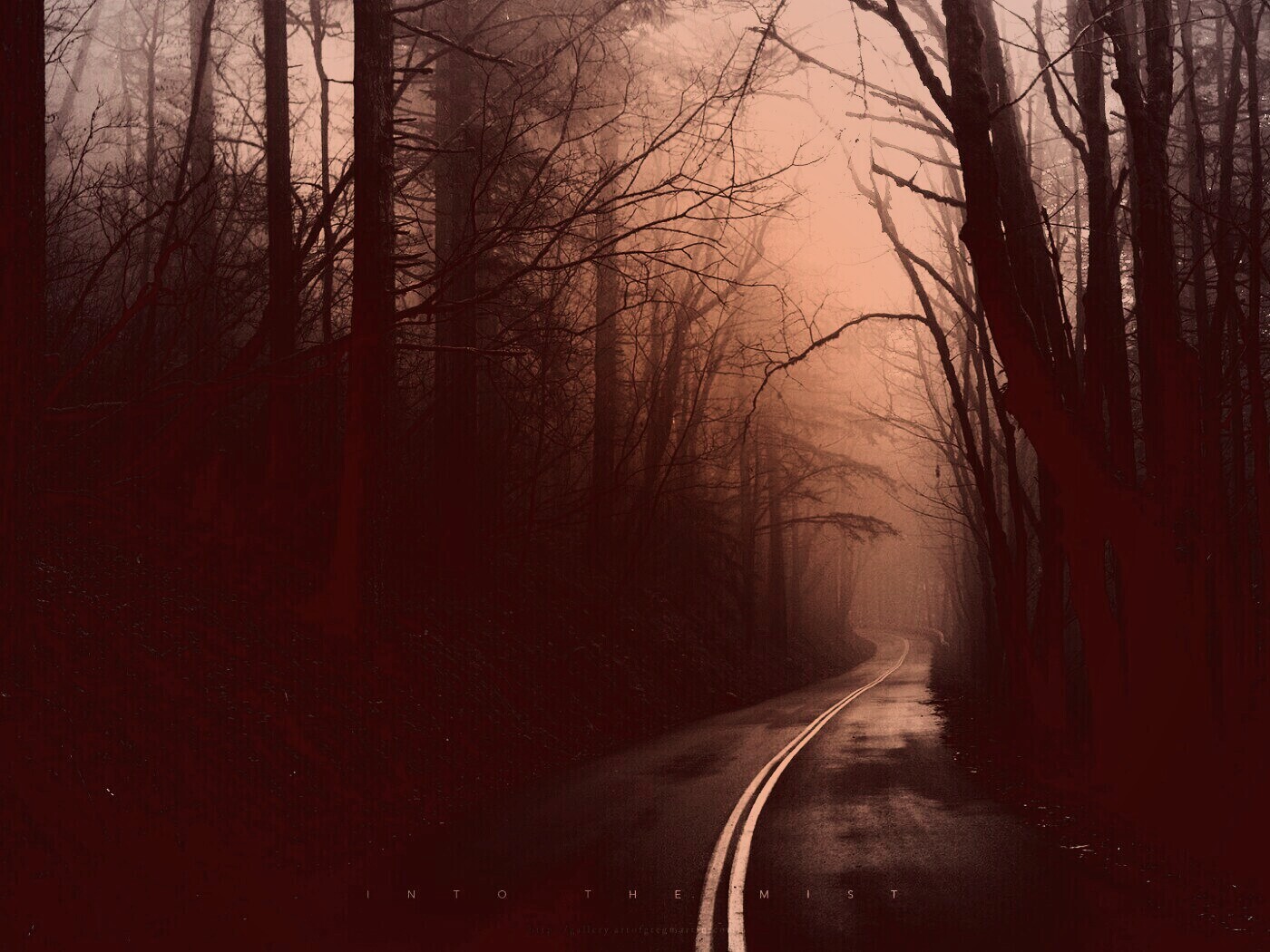 В туман обои