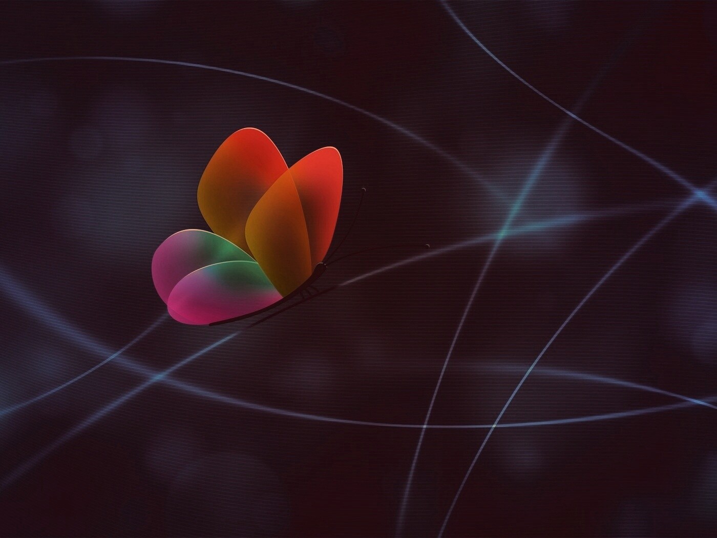 Бабочка с радужными крыльями обои