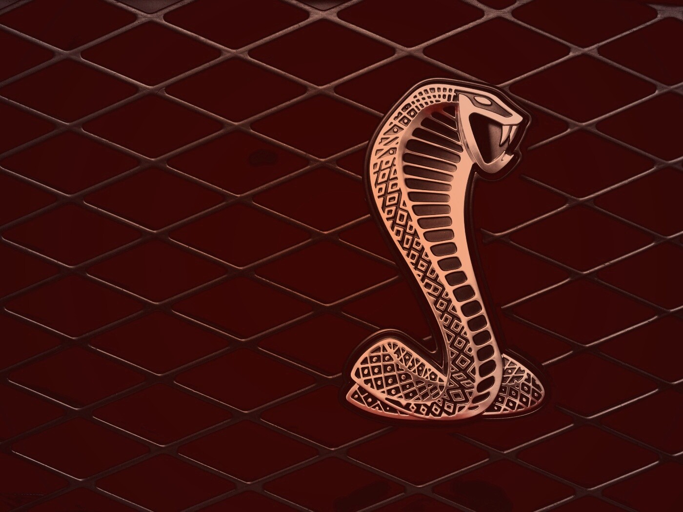 Логотипа Форда Шелби обои