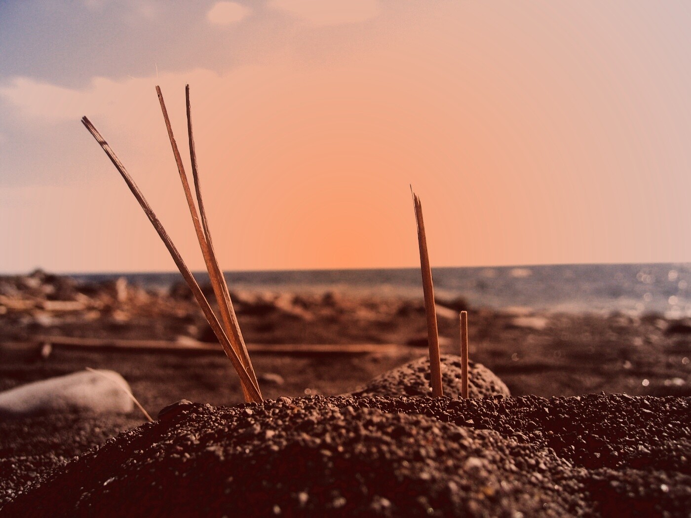 Солома на океанском берегу обои