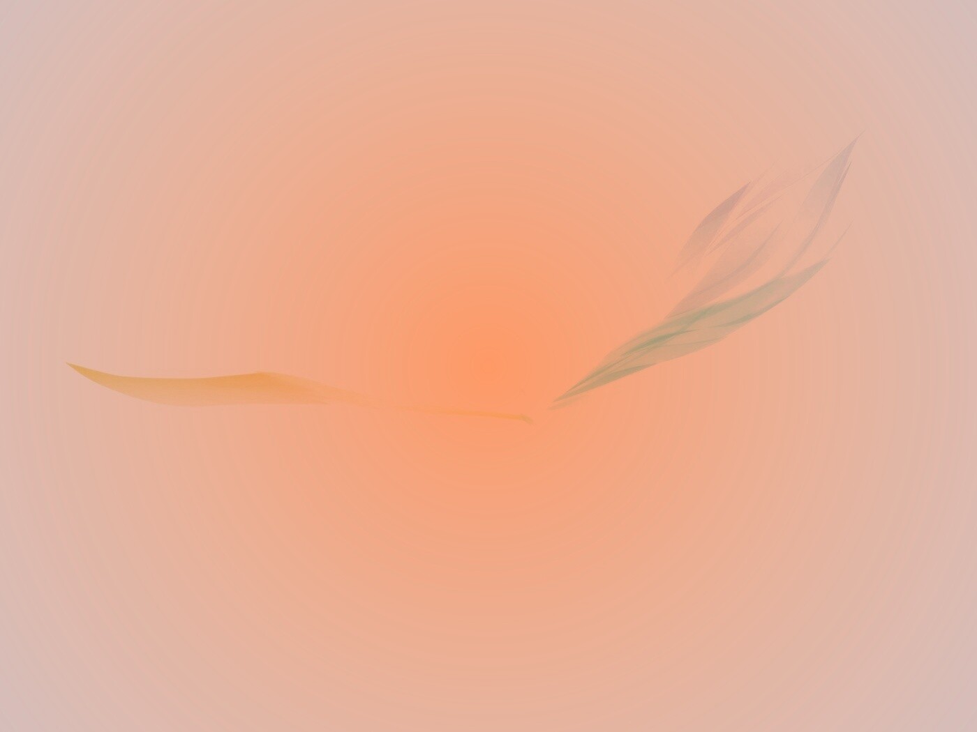 Силуэт птицы обои