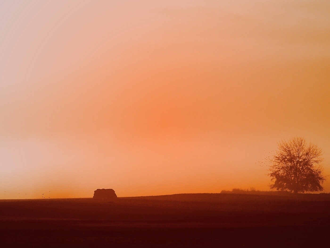 Убранное поле обои