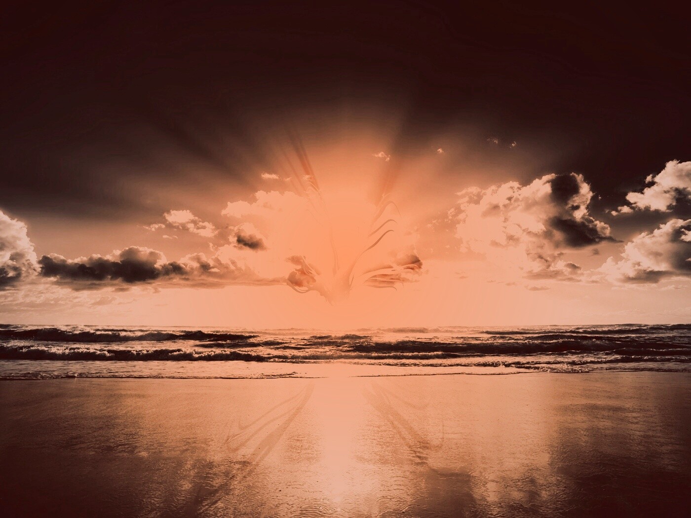 Абстрактные перья на фоне заката обои