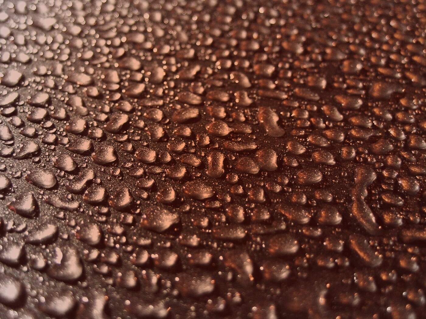 Вода собирается в капли обои