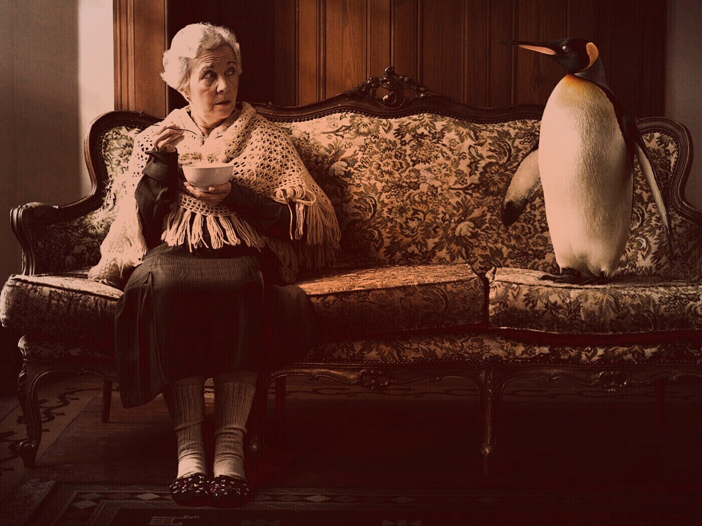 Соседи по дивану обои